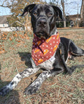 Load image into Gallery viewer, Pumpkin Pie Love Dog Bandana
