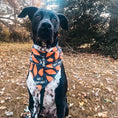 Load image into Gallery viewer, I YAM what I YAM Dog Bandana
