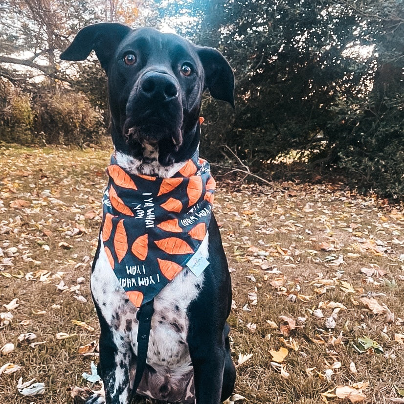 I YAM what I YAM Dog Bandana