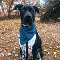 Load image into Gallery viewer, I YAM what I YAM Dog Bandana
