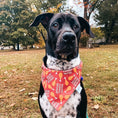 Load image into Gallery viewer, Official Turkey Tester Dog Bandana
