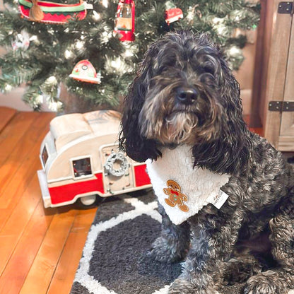 Patch Gingerbread Dog Bandana