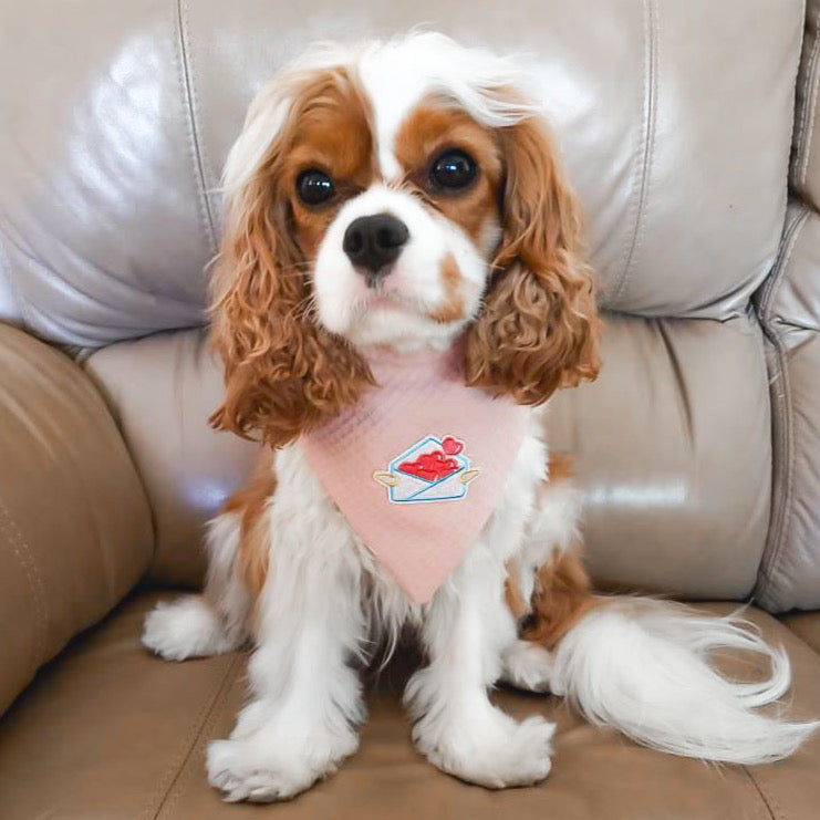 Be My Valentine Patch Dog Bandana