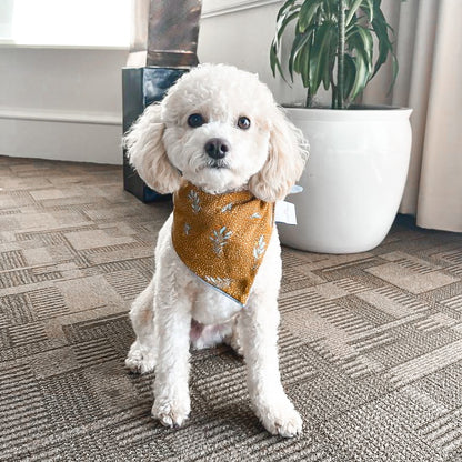 Bohemian Delights Dog Bandana