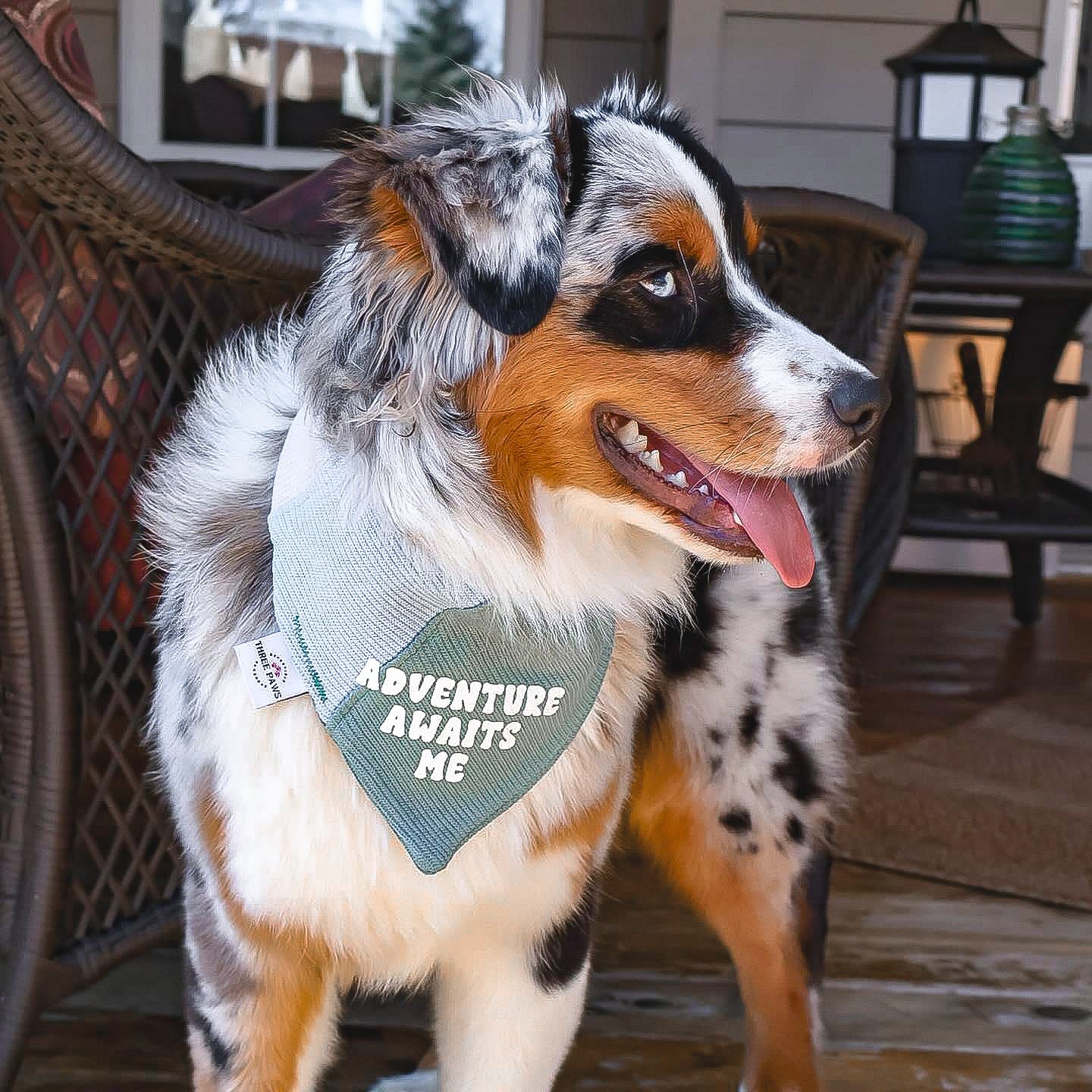 Adventure Awaits Me Dog Bandana