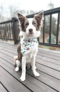 Load image into Gallery viewer, Pine Cones Dog Bandana
