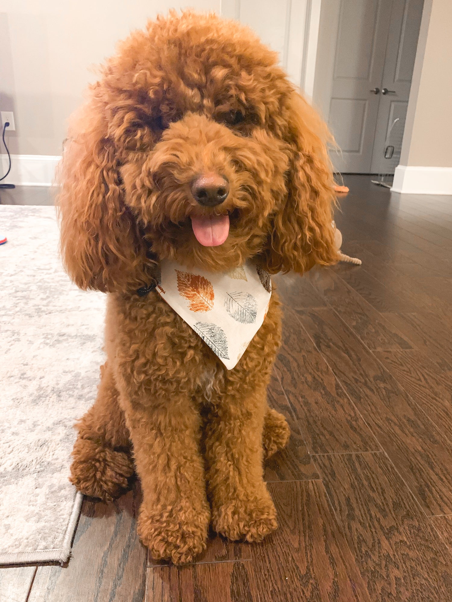 Fall-tastic Dog Bandana