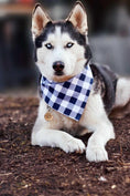 Load image into Gallery viewer, Navy Flowers Dog Bandana
