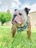 Load image into Gallery viewer, Cactus Plants Dog Bandana
