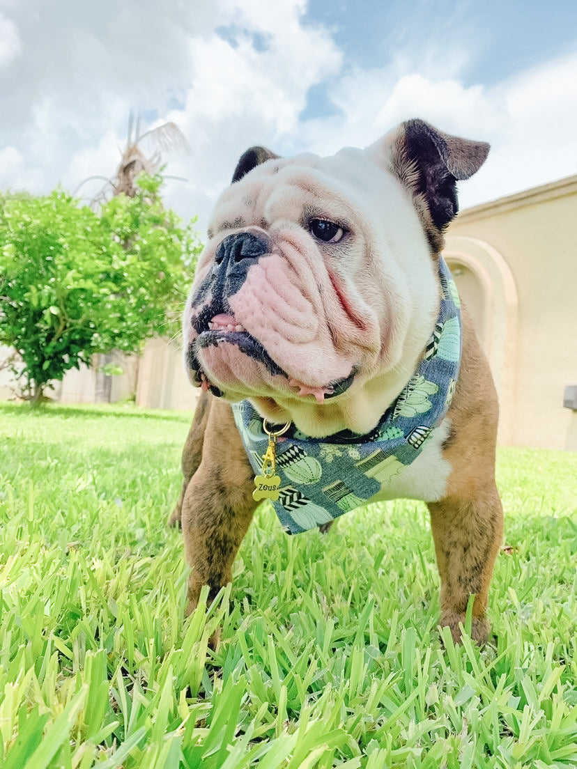 Cactus Plants Dog Bandana