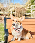 Load image into Gallery viewer, Fresh Roses Dog Bandana
