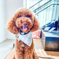 Load image into Gallery viewer, Float'n all day Dog Bandana
