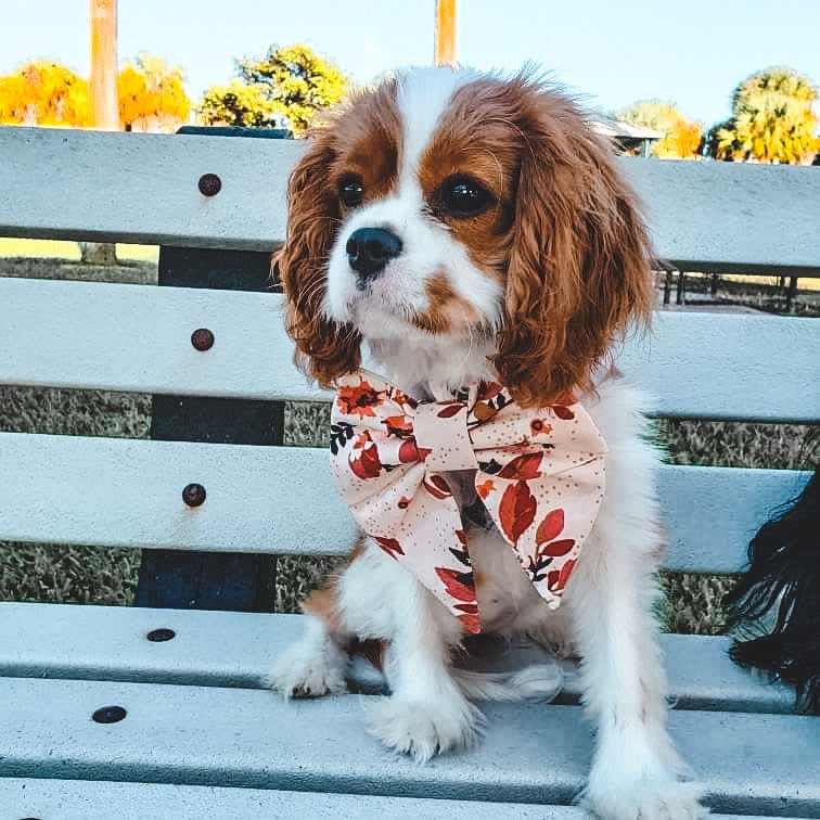 Marguerite Flower Hair Bow