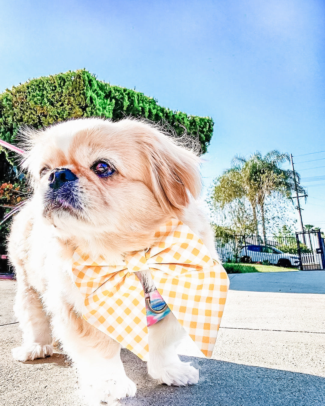 Light Yellow Gingham Hair Bow