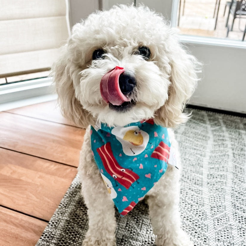 Love at first bite Dog Bandana