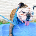 Load image into Gallery viewer, Sharky Shark Dog Bandana
