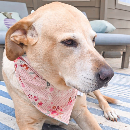 Sweet Petals Dog Bandana