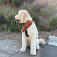 Load image into Gallery viewer, Autumn Flannel Dog Bandana
