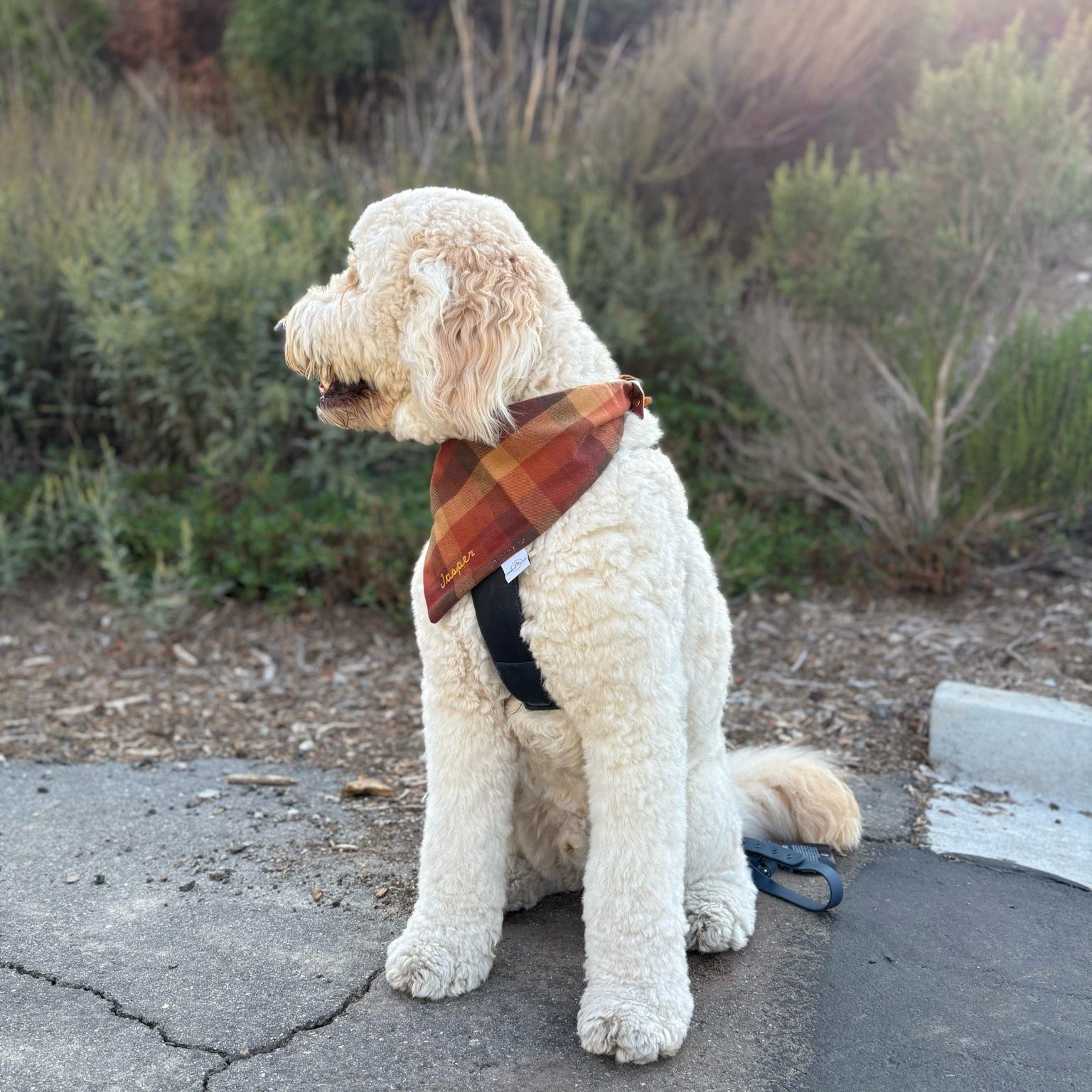 Autumn Flannel Dog Bandana