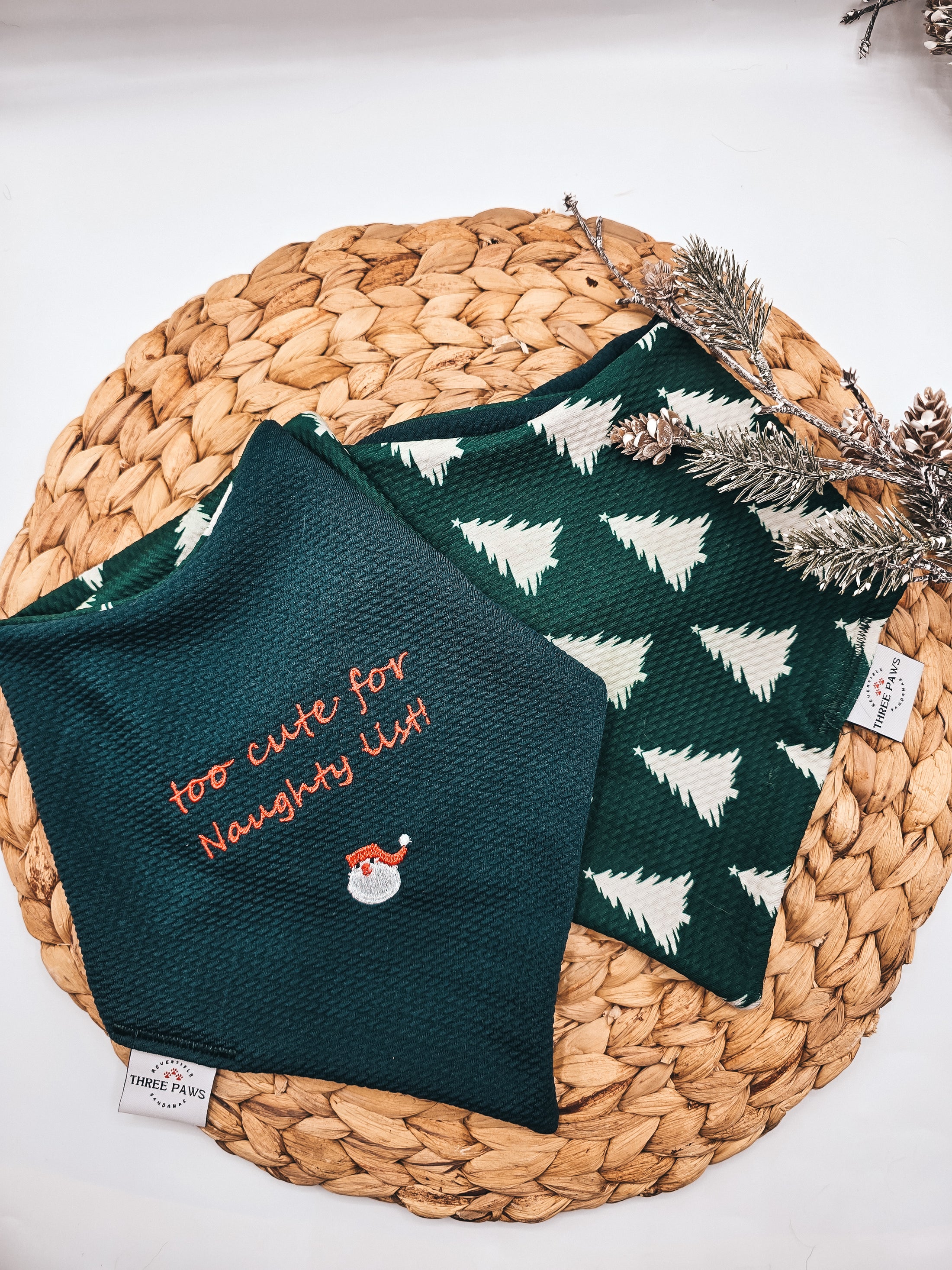 Too cute to be naughty Dog Bandana