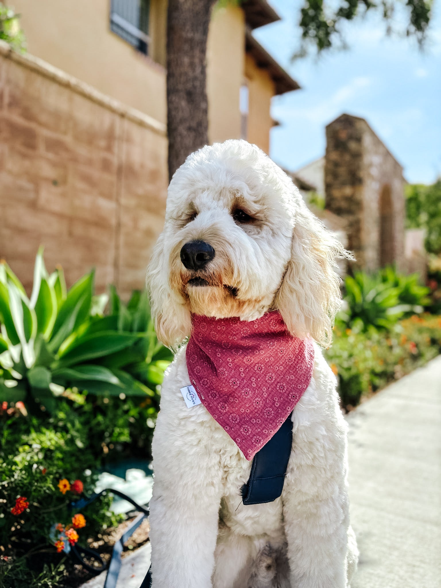 Embroidered Floral Dog Bandana