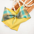 Load image into Gallery viewer, Teal Flannel Dog Bandana
