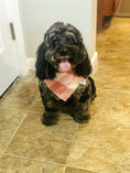 Load image into Gallery viewer, Salmon Gingham Dog Bandana
