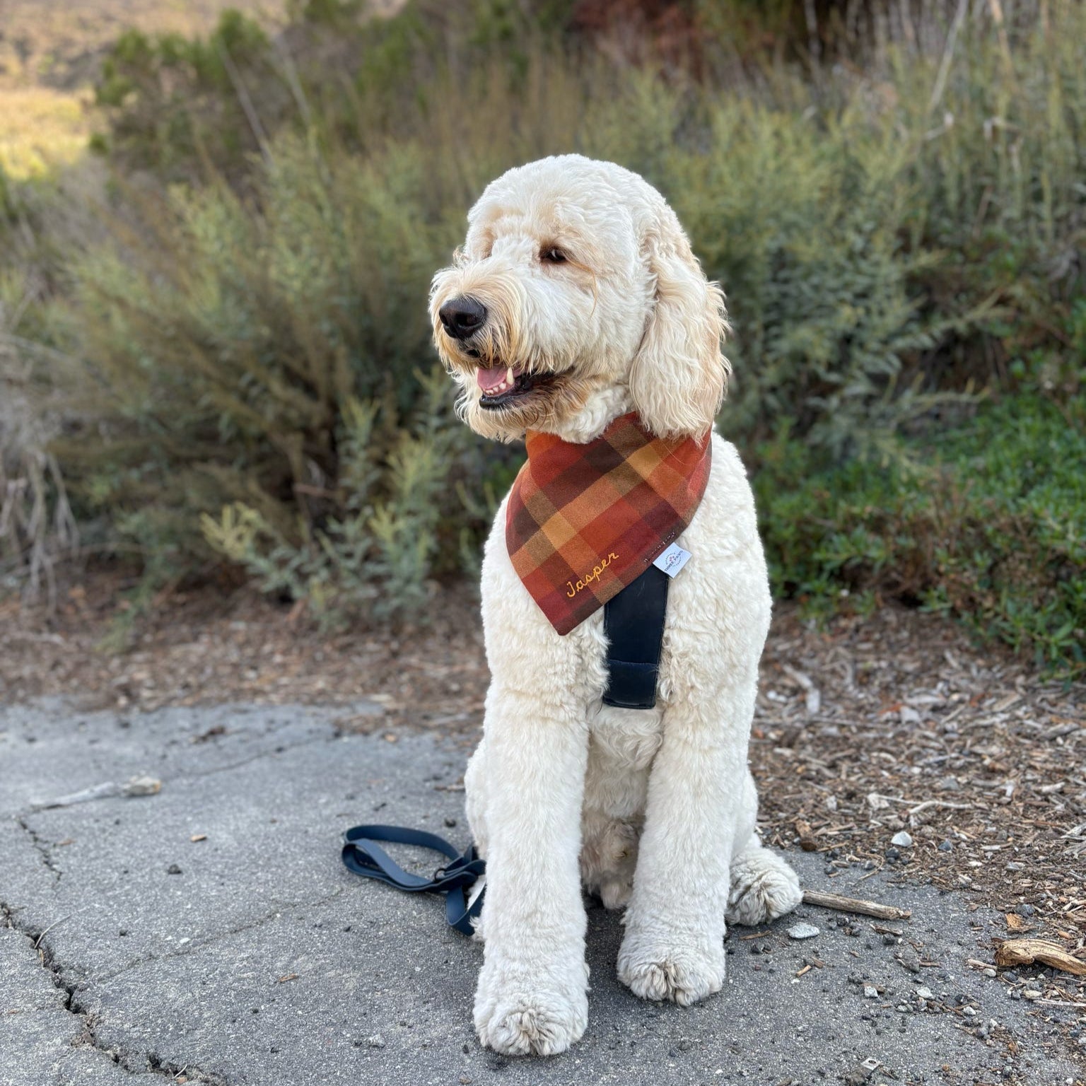 Autumn Flannel Dog Bandana