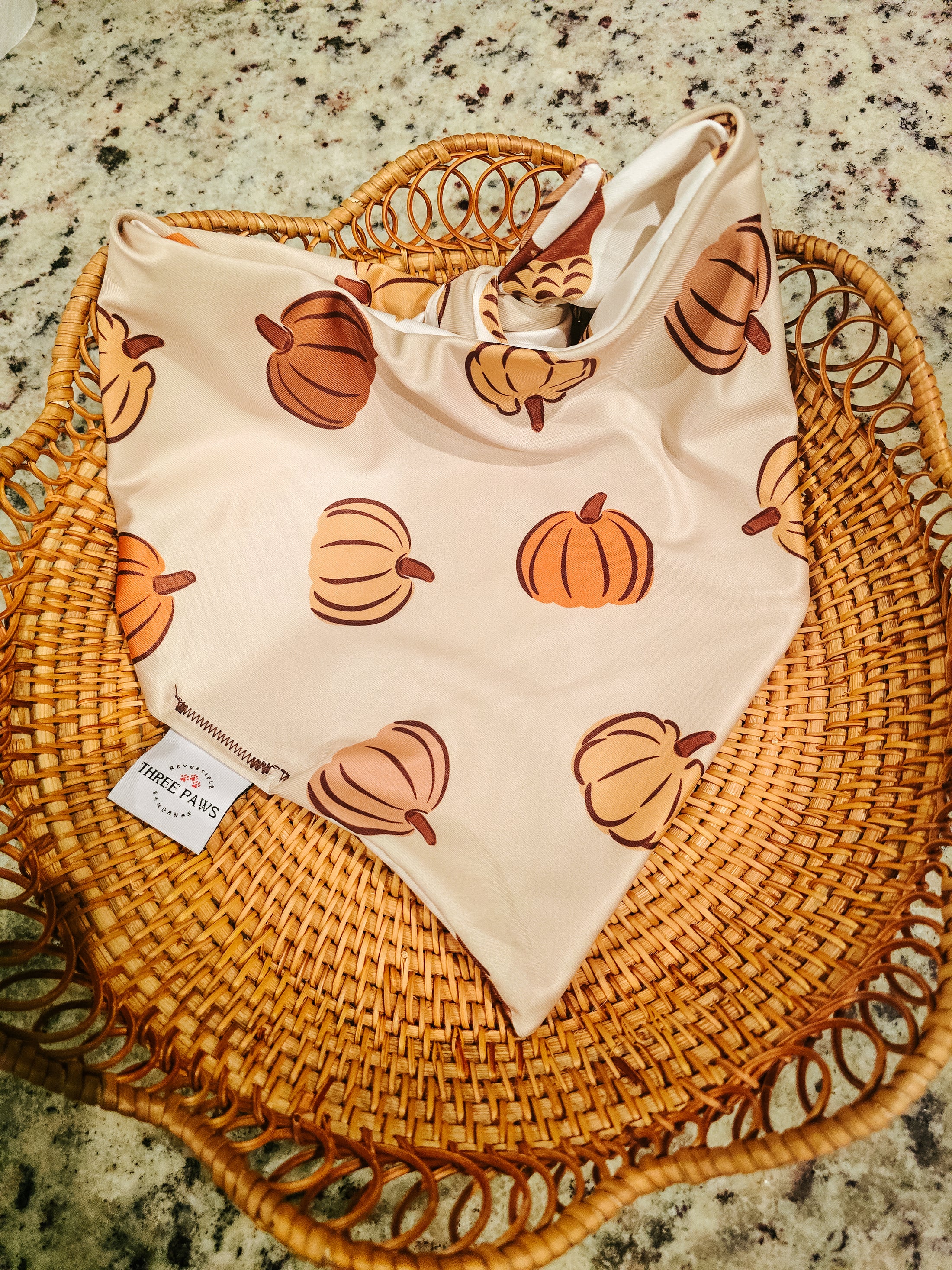 Whimsy fall Water Lovin Bandana