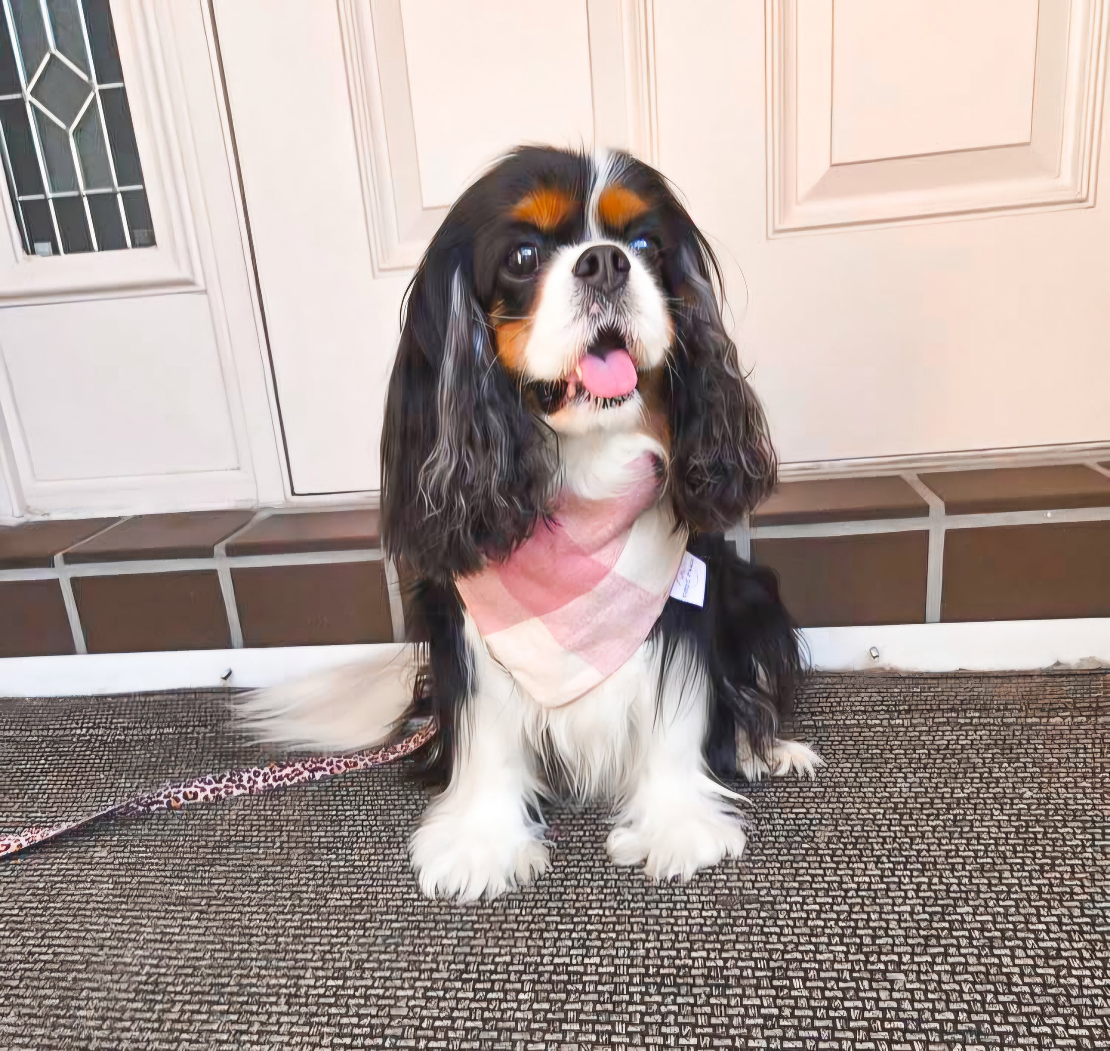 Salmon Gingham Dog Bandana