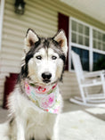 Load image into Gallery viewer, Watercolor Pastel Roses Dog Bandana
