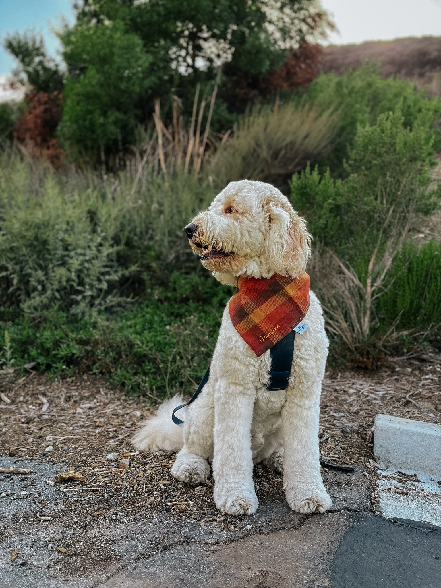 Autumn Flannel Dog Bandana