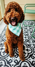 Load image into Gallery viewer, Sea Gingham Dog Bandana
