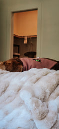 Load image into Gallery viewer, Wicked Cute Dog Bandana
