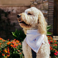 Load image into Gallery viewer, Embroidered Floral Dog Bandana

