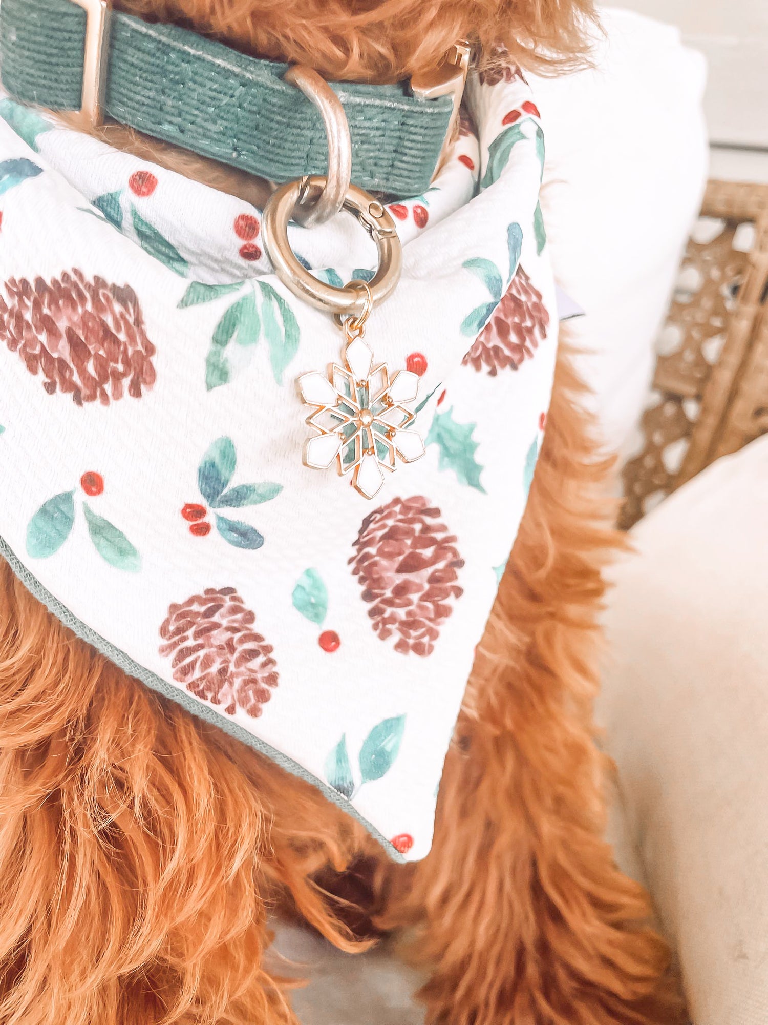 Pine Cones Dog Bandana