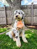 Load image into Gallery viewer, Orangey Checkered Hair Bow
