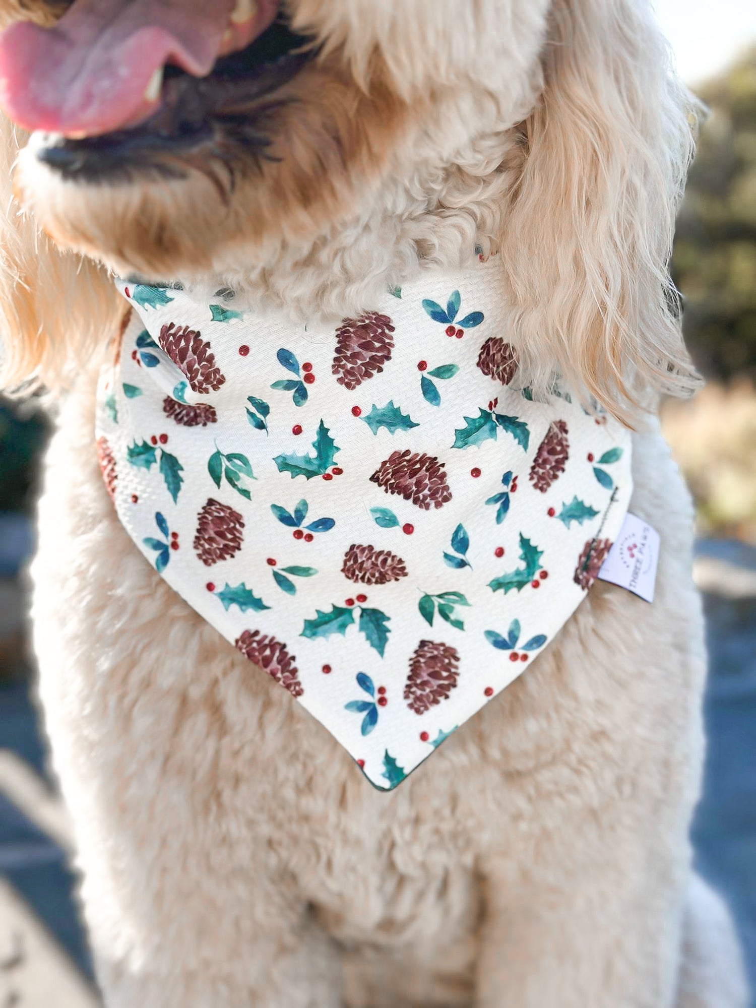 Pine Cones Dog Bandana