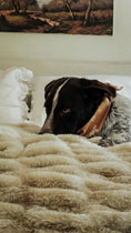 Load image into Gallery viewer, Who's your Mummy Dog Bandana
