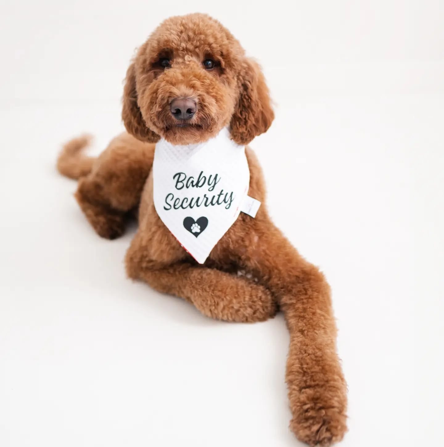 Baby Security Dog Bandana