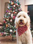 Load image into Gallery viewer, Berry Cookies Dog Bandana
