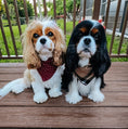 Load image into Gallery viewer, Berry Pup Flannel Dog Bandana
