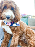 Load image into Gallery viewer, Navy Flowers Dog Bandana
