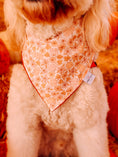 Load image into Gallery viewer, Spice of Life Dog Bandana
