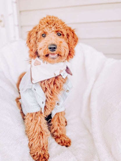 Cozy Winter house Dog Bandana