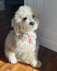 Load image into Gallery viewer, Pastel Spring Stripes Dog Bandana
