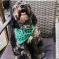 Load image into Gallery viewer, Lucky Clover Pup Dog Bandana
