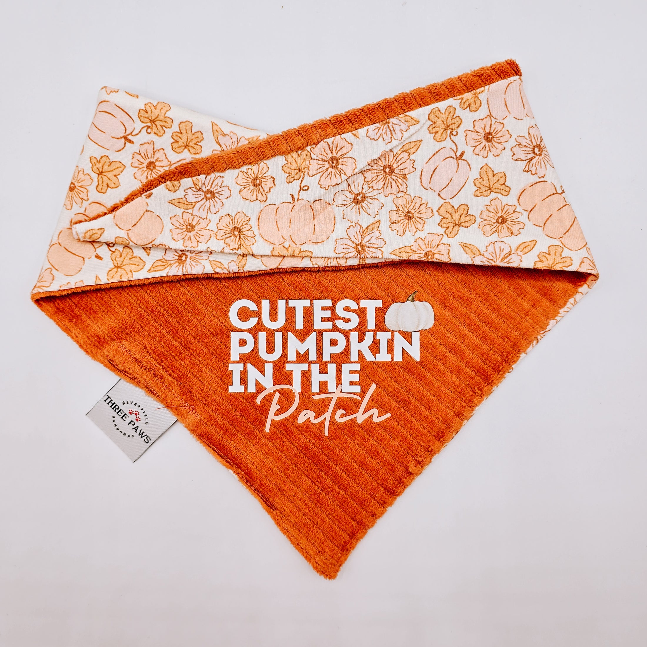 Spice of Life Dog Bandana