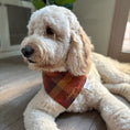 Load image into Gallery viewer, Autumn Flannel Dog Bandana
