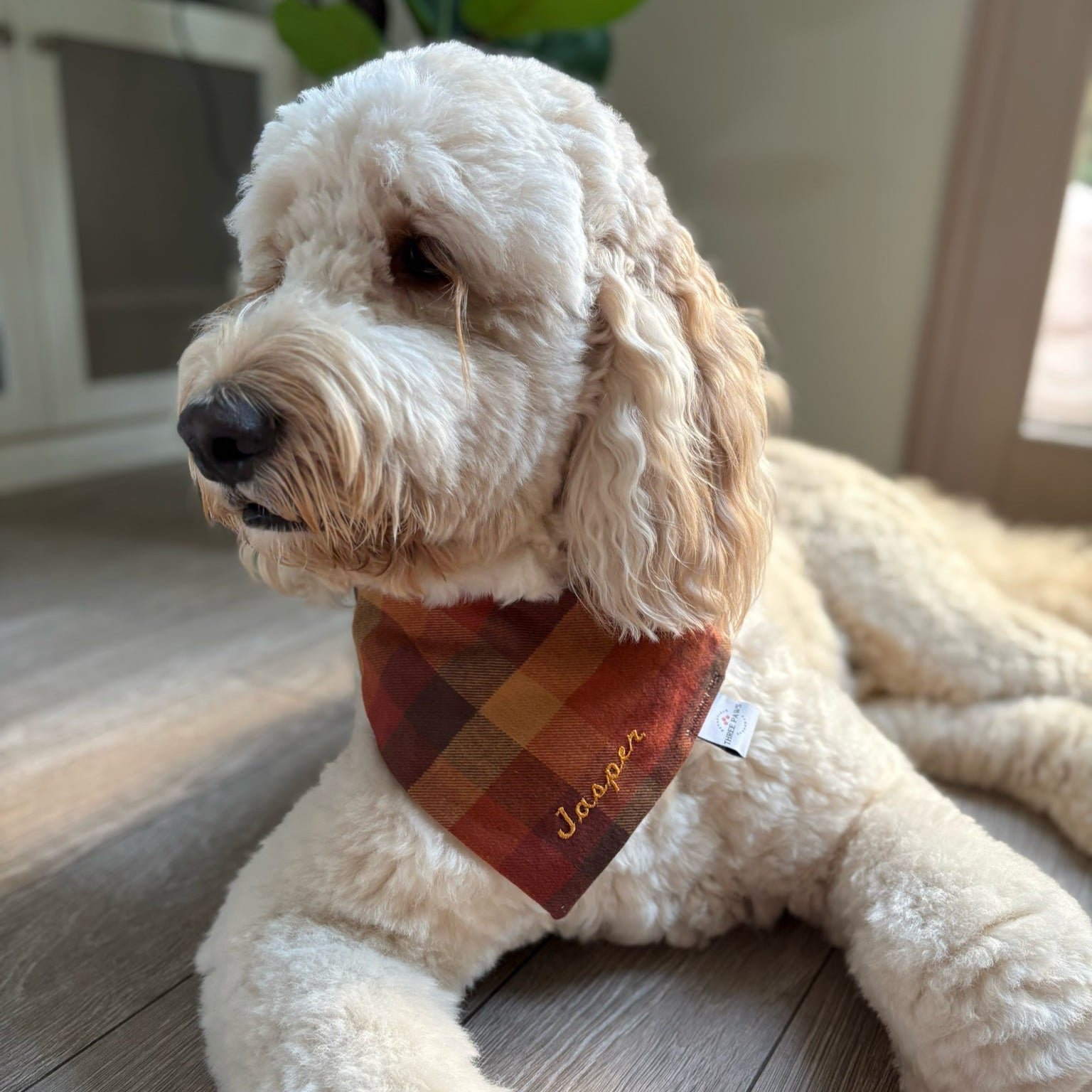Autumn Flannel Dog Bandana